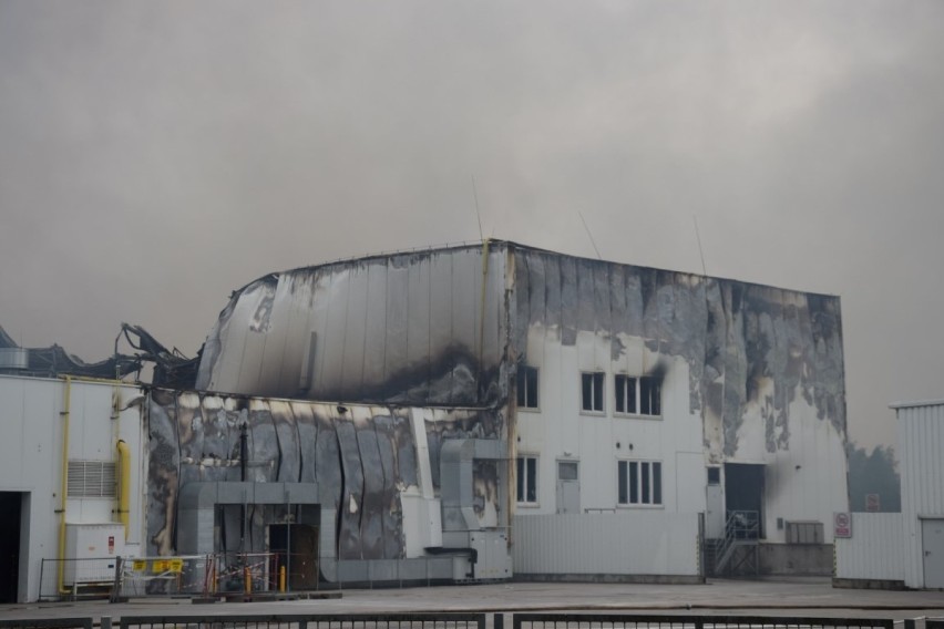 Pożar zakładu Iglotex w Skórczu 27.05.2019. Gigantyczny...