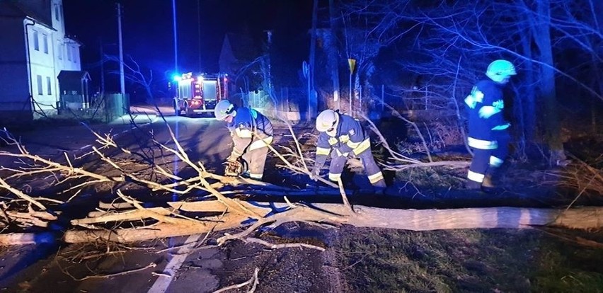 Orkan Ciara ma niszczycielską siłę. W Polsce już wyrządził...