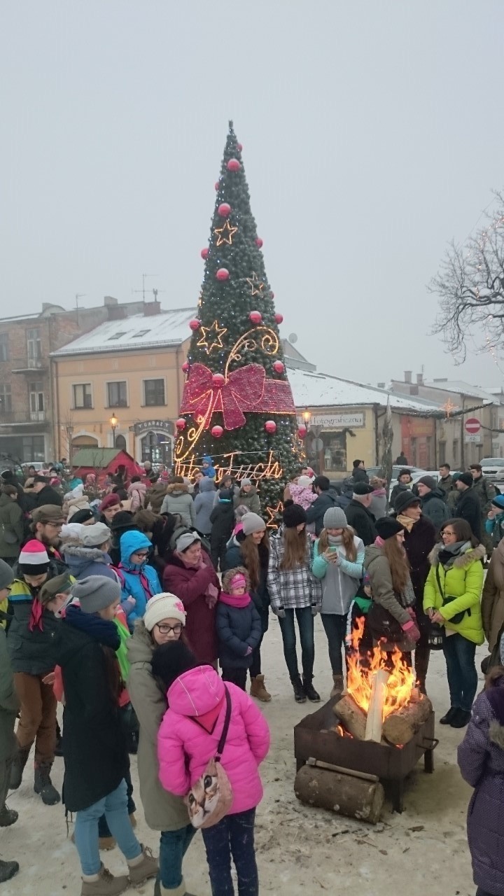 Olkusz. Na wigilię do Srebrnego Miasta przyjechały renifery z Zakopanego