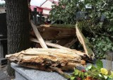 Nawałnica w regionie radomskim. Wichura zrywała dachy i łamała drzewa (wideo, zdjęcia)
