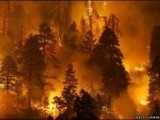 Strażacy z Radomia gaszą pożary w Rosji