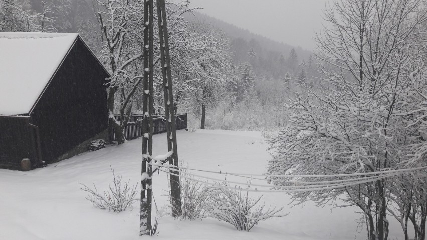 Śnieg wrócił w góry i doliny powiatu wadowickiego