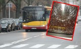 Ktoś ostrzelał  autobus 96 na Lutomierskiej! W pojeździe pękły dwie szyby! [ZDJĘCIA]