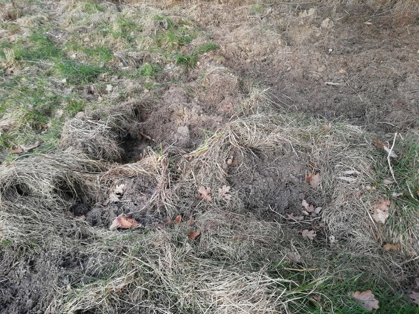 Rozkopane trawniki, przydomowe ogródki to na Rokosowie nic...