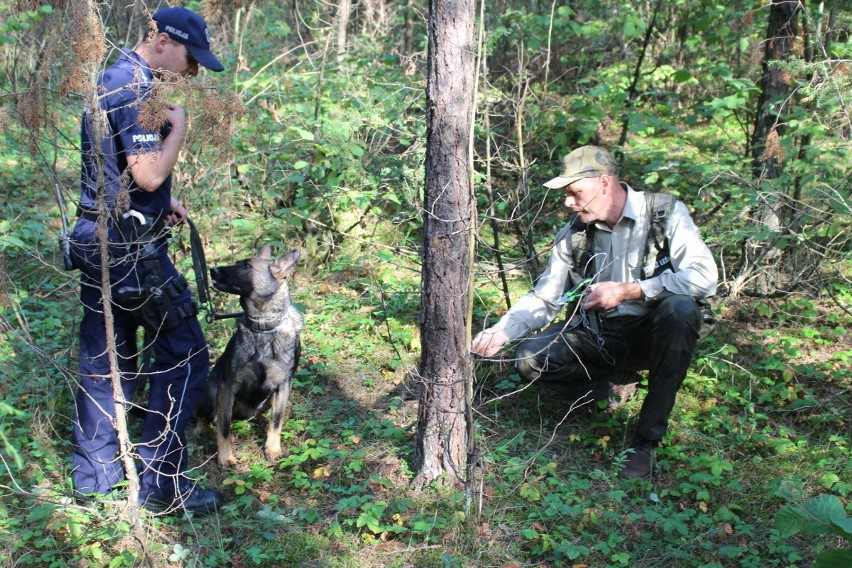 Policjanci i strażnicy na tropie kłusowników (zdjęcia)