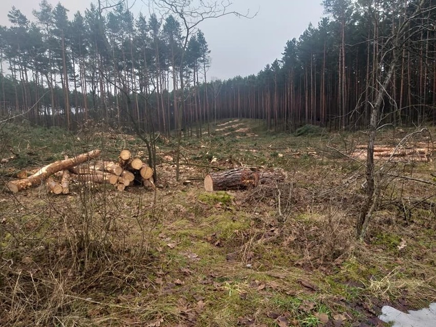 Mieszkańcy Kokotka zbierają podpisy pod petycją w sprawie...