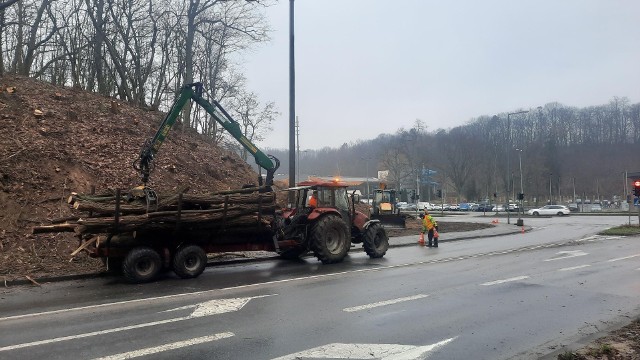 U zbiegu ulic Słowiańskiej i Fredry wycięto około 70 drzew.