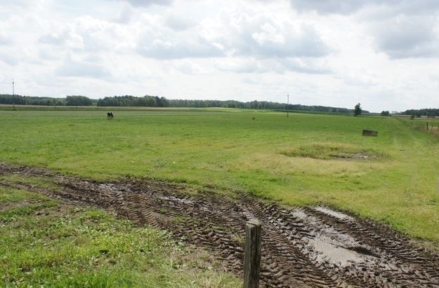 W miejscowościach Parcele i Gredele zginęło bydło