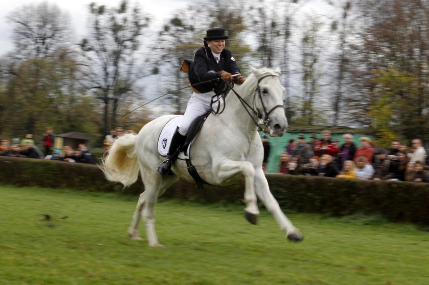 Hubertus 2013: Najszybsze konie biegły z prędkością 60 km/h. Bombonierka najlepsza (ZDJĘCIA)