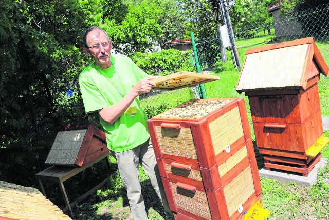 Pasieka (łącznie kosztowała ok. 3 tys. zł) stanęła na terenie wspólnym ogrodu w Rogówku, niedaleko altany gospodarza Zdzisława Babskiego, który również opiekuje się pszczołami