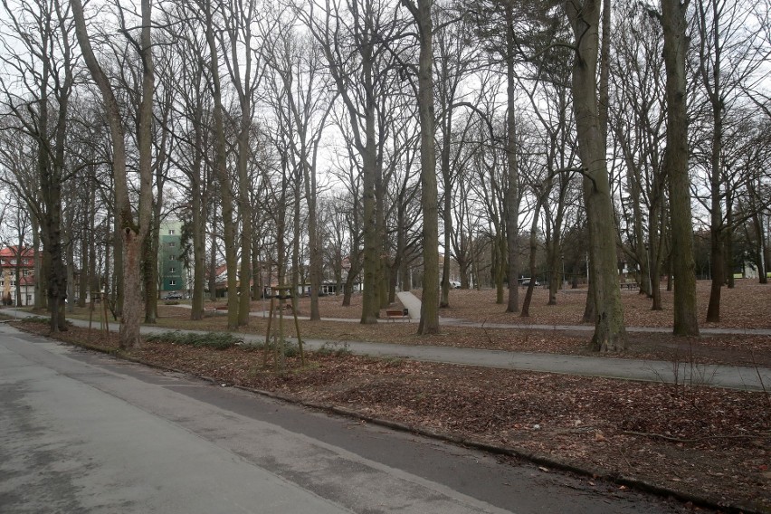 Park na Pogodnie w Szczecinie będzie nosił imię Krystyny i Romana Łyczywków