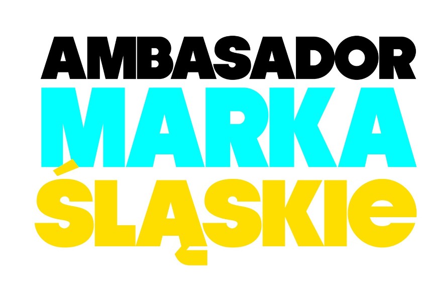 Ambasador Marka - Śląskie. Głosujemy
