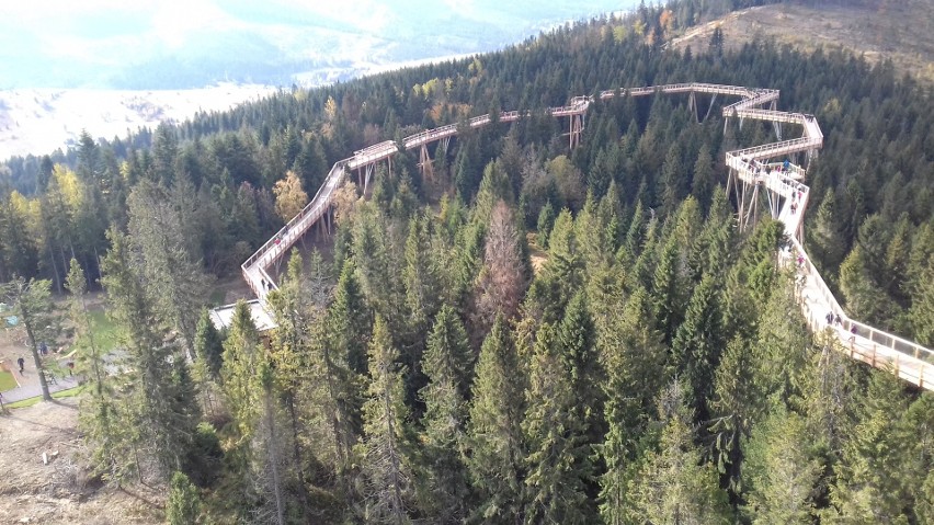 Tatry. Ścieżka w koronach drzew przyciąga tłumy