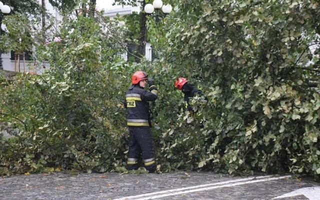 Znów idą burze. IMGW wydał dlla regionu łódzkiego ostrzeżenie przed burzami z gradem i silnymi wichurami. Porywy wiatru do 115 km/godz.