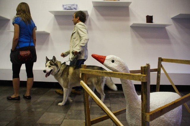 Na wernisażu wystawy Jeden Pies w miniony wtorek w Galerii Miejskie bwa był i pies