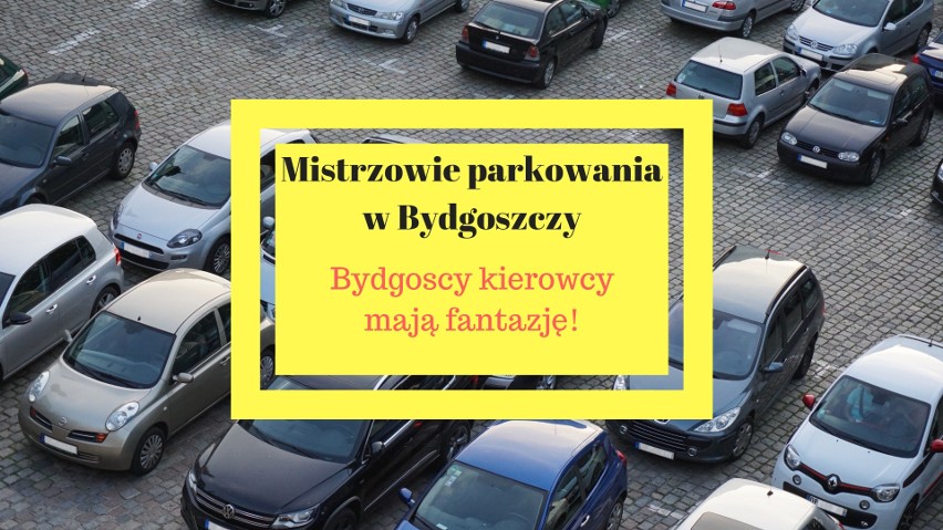 Kierowcy w Bydgoszczy bardzo często parkują w miejscach...
