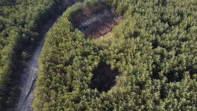 Zapadliska w powiecie olkuskim