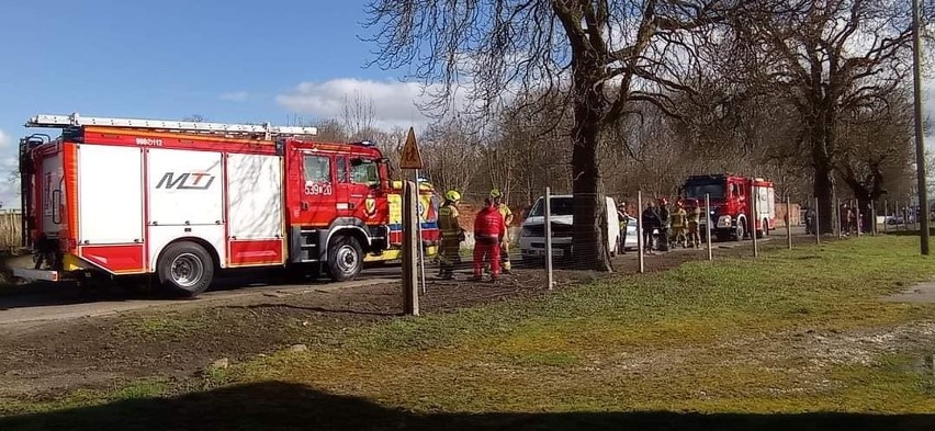 Zjechał z drogi i uderzył w drzewo. Na miejscu było Lotnicze Pogotowie Ratunkowe 