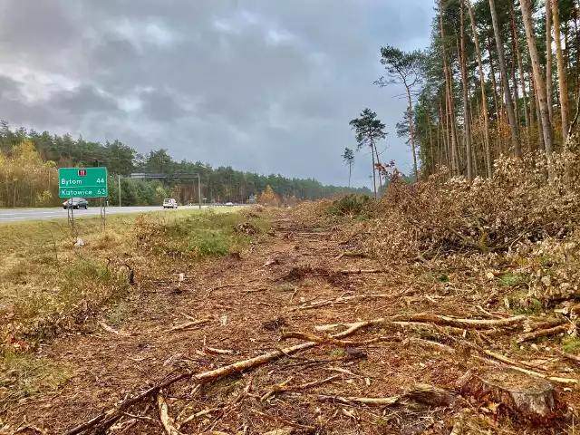 Przewodniczący Rady Miejskiej w Lublińcu jest oburzony wycinką lasów. Postanowił skierować pismo do Nadleśnictwa w celu wyjaśnienia sprawy.