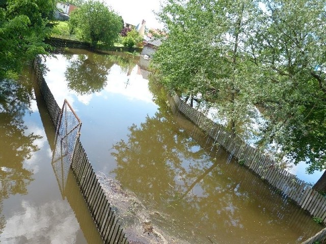 Rzeka Czarna w Połańcu rozlała się na pobliskie posesje.