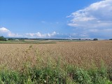 Piękna strona województwa lubelskiego. W najbliższy weekend odwiedź szlak rowerowy pod Nałęczowem. „Kraina Jana Pocka” kusi krajobrazem