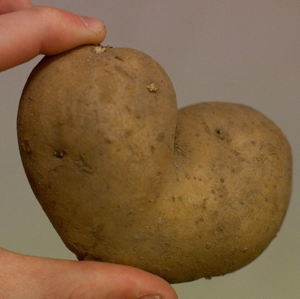 Dziś Walentynki! Zobacz serce z ziemniaka pani Agaty. A ty masz już pomysł na prezent?