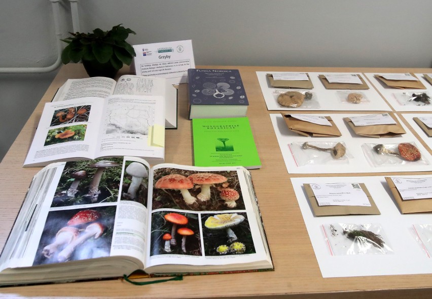 Herbarium Stetinense - cyfrowy zielnik powstał na Uniwersytecie Szczecińskim