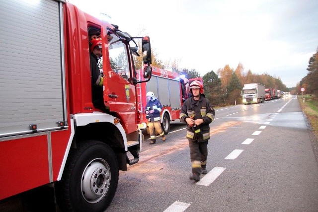 Wypadek w Osowcu. Bus uderzył w sarnę