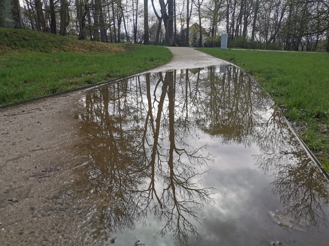 Park w Kościelcu w Chrzanowie