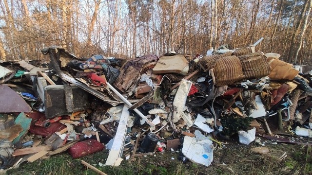 Statystyki nie kłamią. Województwo śląskie w szczególności narażone jest na działalność przestępców środowiskowych. Jak podaje Wojewódzki Inspektorat Ochrony Środowiska jeszcze w 2018 roku odnotowano ok. 1200 interwencji.
