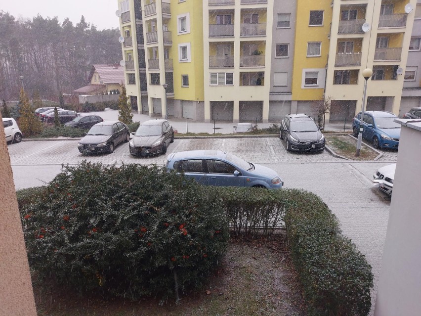 Śnieg w Zielonej Górze. W czwartek, 3 grudnia, biały puch...