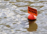 Nielegalne wyloty ściekowe wciąż zanieczyszczają rzeki. Wzdłuż Odry jest takich kilkaset. Wyniki kontroli Wód Polskich nie są optymistyczne