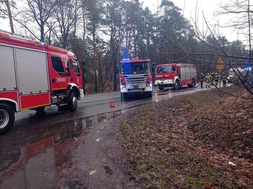Groźny wypadek pod Toruniem. Trzy ranne osoby zawiezione do szpitala