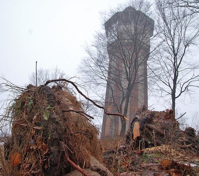 Szczecinecka wieża ciśnień. Niedawno wycięto wokół niej 33 drzewa. Właściciel budynku chciałby, aby w jej miejscu stanęły kamieniczki ze sklepami.
