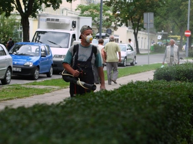 Czas walczyć z komarami. Niebawem w użyciu znów będą dmuchawy, które wyrzucają specjalną substancję. Osiada na krzewach i niszczy larwy komarów.