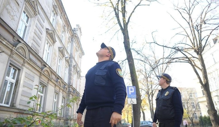 Opole. Tyle zarabiają funkcjonariusze Straży Miejskiej....