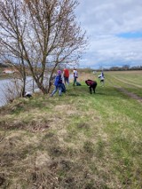 Operacja czysta rzeka w Łomży. Po raz kolejny zebrano 3 tony śmieci [zdjęcia]