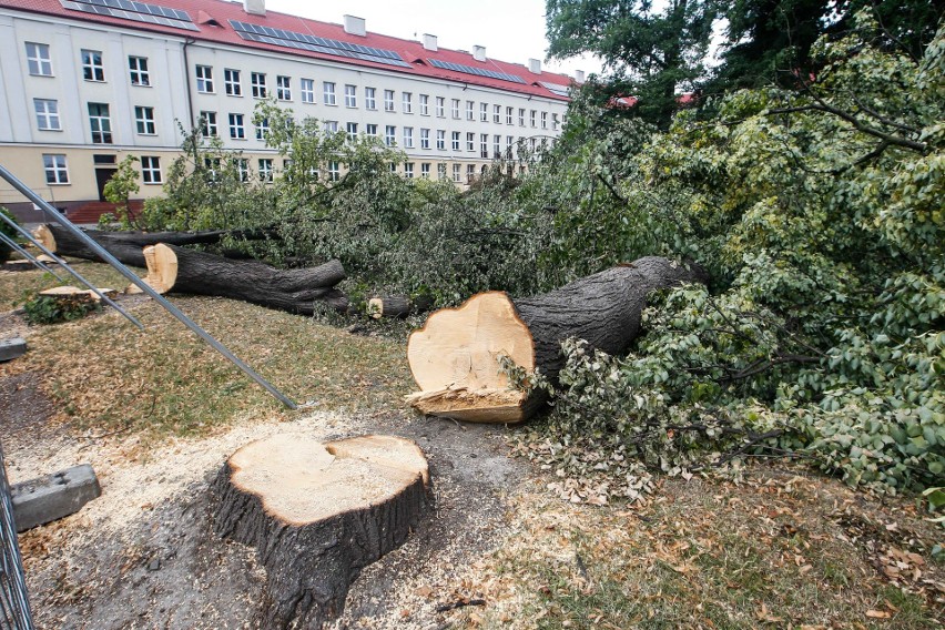 Duża wycinka drzew przy ulicy Towarnickiego w Rzeszowie....