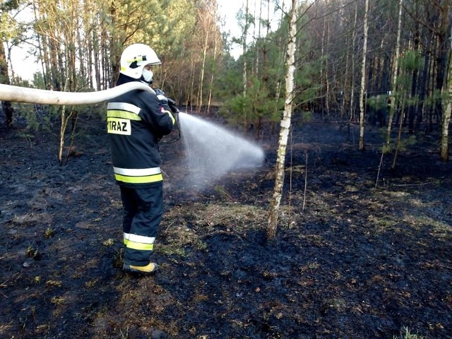 Pięć jednostek strażackich gasiło pożar na terenie gminy Ciepielów.