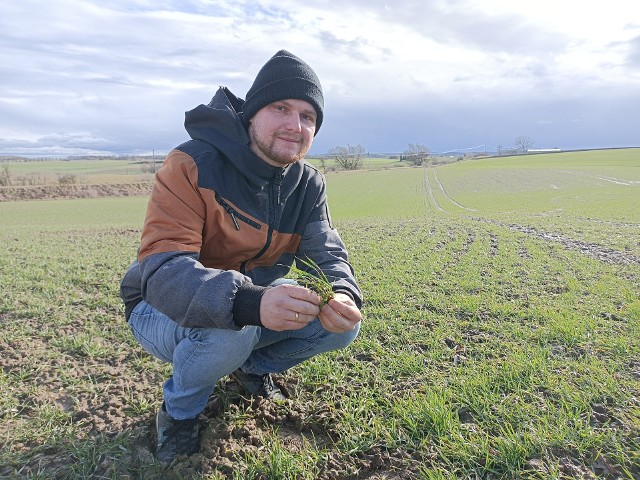 Mateusz Kulecki, który gospodaruje na 214 hektarach w woj. pomorskim, zajmuje się produkcją trzody chlewnej. Na razie ją ograniczył.