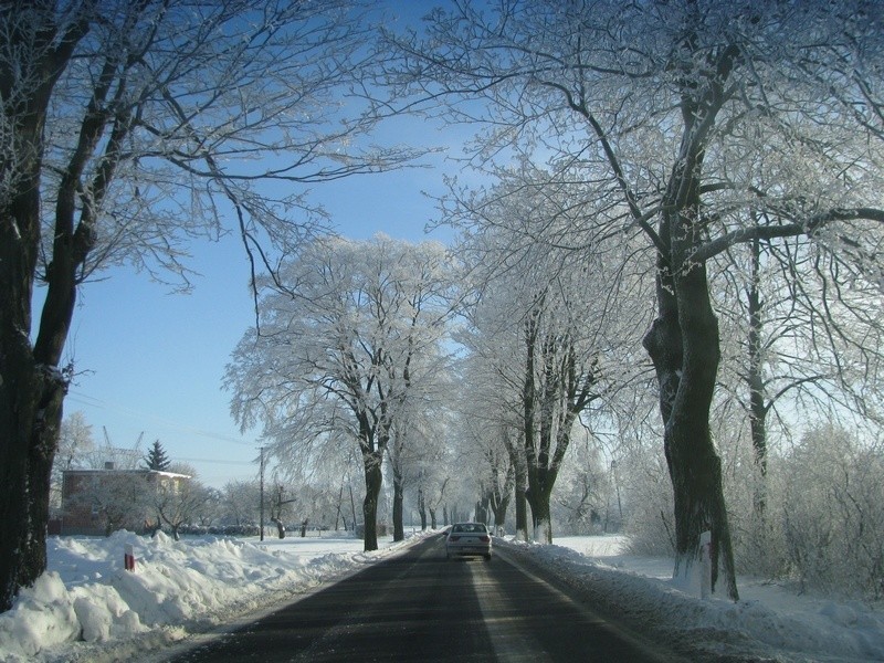 Zima w powiecie toruńskim jest piękna!