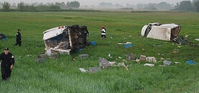 Po zderzeniu w miejscowości Zołcza Ugory samochody wypadły z drogi.