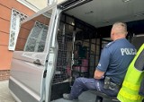 24-letnia oszustka z powiatu puckiego wpadła na przystanku w Gdyni