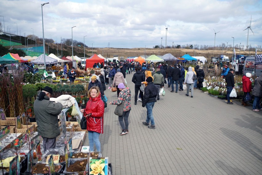 Targi odbędą się w najbliższy weekend.