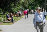 Nowe oświetlenie pojawi się w krakowskich parkach 