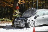 Zakopane. Auto osobowe spłonęło na rondzie. Strażacy szybko opanowali pożar ZDJĘCIA