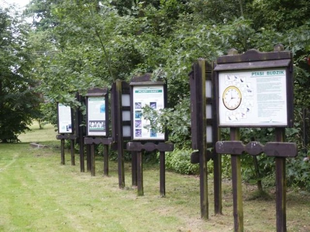 Ścieżka edukacyjna w starym parku przy Leśnictwie Krasiejów to dobra lekcja przyrody dla najmłodszych.