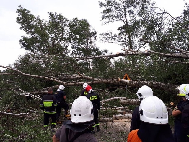 Pięciu druhów z OSP KSRG Lubanie wzięło udział w akcji ratowniczej w powiecie żnińskim.Pięciu druhów z OSP KSRG Lubanie (Dariusz Sołtysiak, Radosław Baranowski, Bartosz Głowacki, Przemysław Matusiak i Damian Pasterczak) wzięło udział w akcji ratowniczej w powiecie żnińskim. Przez cały dzień do późnych godzin nocnych strażacy pomagali w usuwaniu groźnych skutków nawałnicy, jaka przeszła w piątek przez nasze województwo. Działania polegały na usuwaniu z dróg powalonych drzew, gałęzi blokujących przejazd oraz złamanych gałęzi wiszących nad drogą. - Solidaryzujemy się ze wszystkimi mieszkańcami naszego kraju, których dotknęły te tragiczne wydarzenia - mówi Larysa Krzyżańska, wójt gminy Lubanie. Pierwsze 7 mln zł przekazane do gmin po nawałnicach