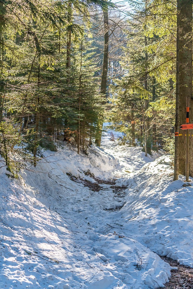 Zadnie Góry. Tatry na wyciągnięcie ręki              