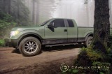 Ford F150 od Carlex Design 